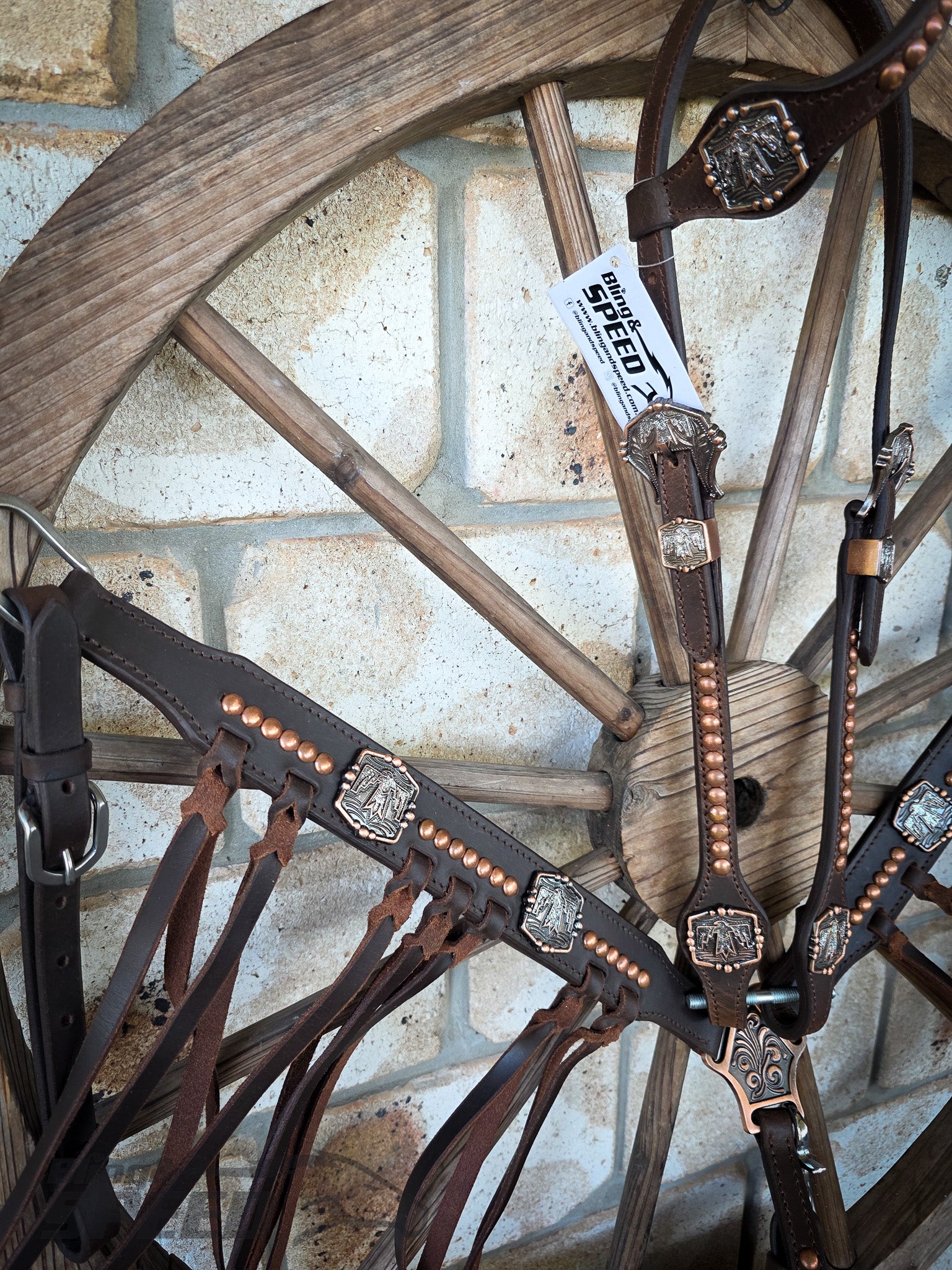 Thunderbird Fringe Tack Set - Silver Glitter