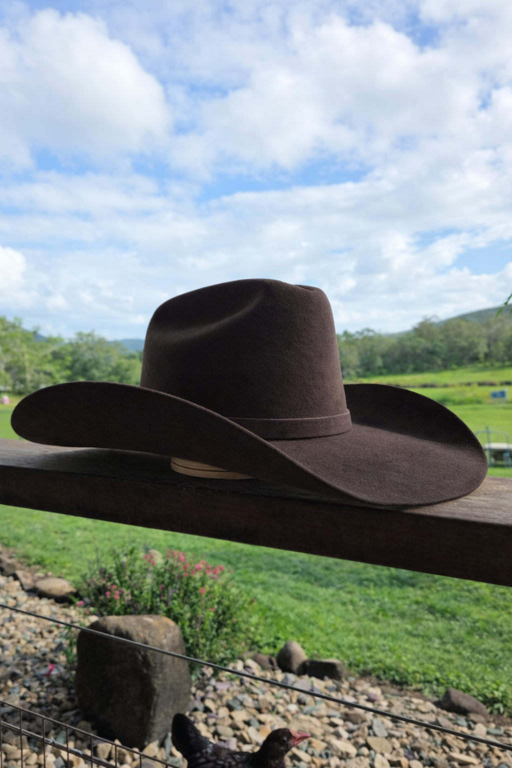 Desert Crown Felt Hat - Chocolate