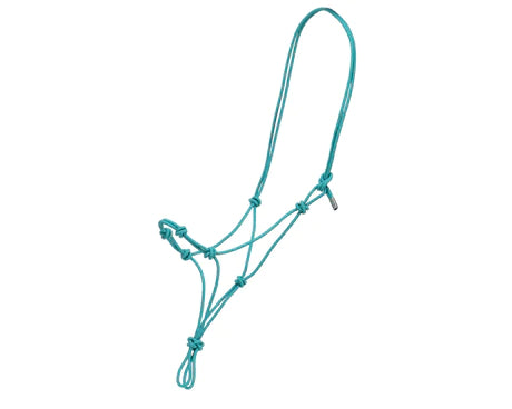 Fort Worth Clinician/Training Halter