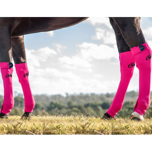 Hidez Seamless Compression Socks - Fuchsia