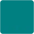 Load image into Gallery viewer, Teal Arena Shirt

