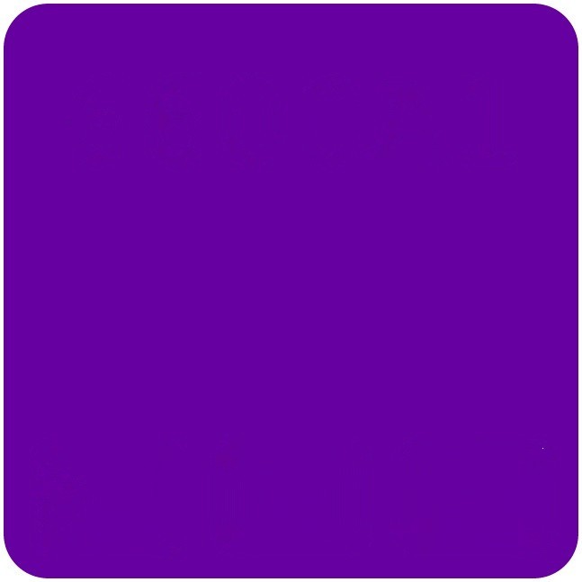 Purple Arena Shirt