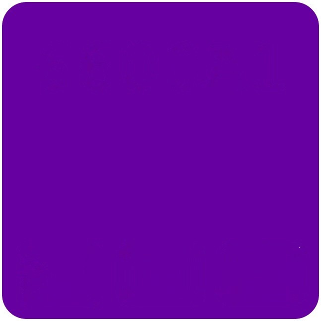 Purple Arena Shirt
