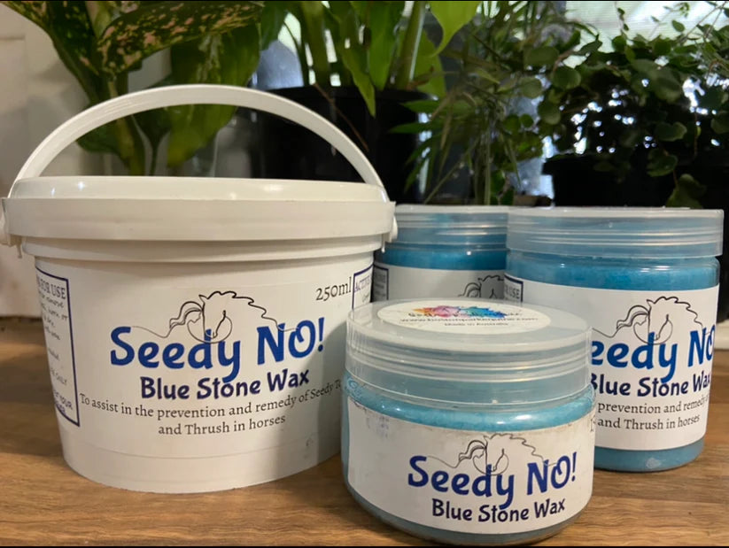 Supplements and First Aid