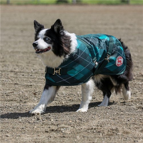 Thermo Master Supreme Dog Coat - Emerald Diamond