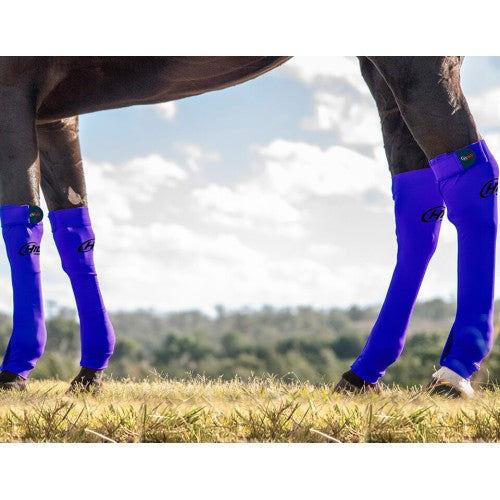 Hidez Seamless Compression Socks - Purple