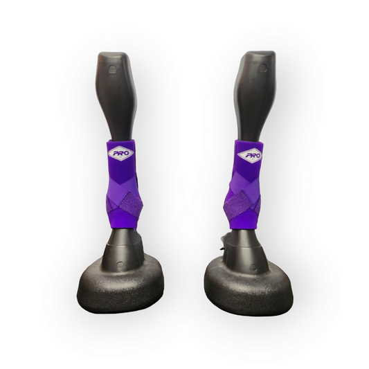 H20 Front - Purple Medium