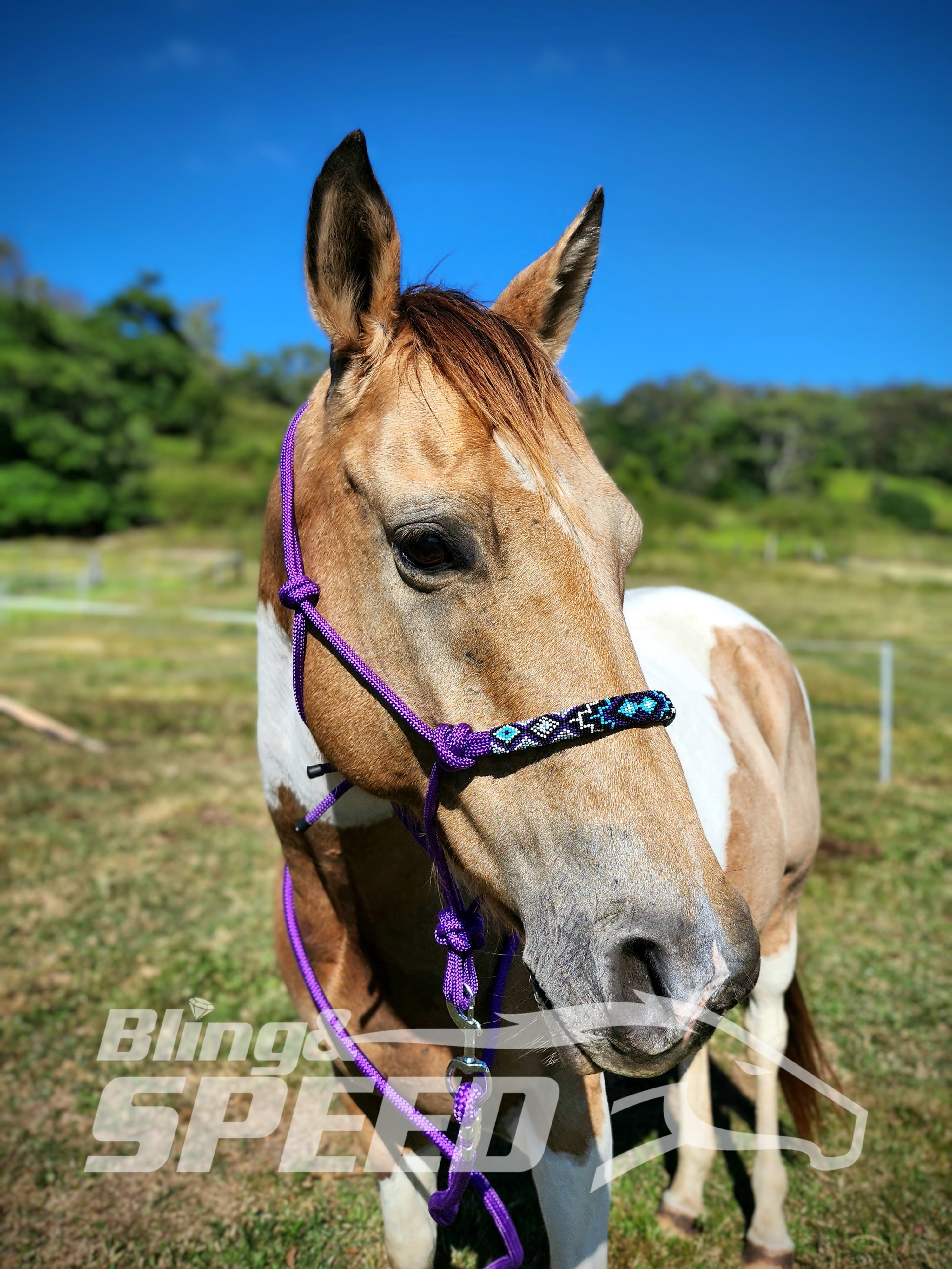 Beaded Rope Halter (8028568256750) (8058345292014)