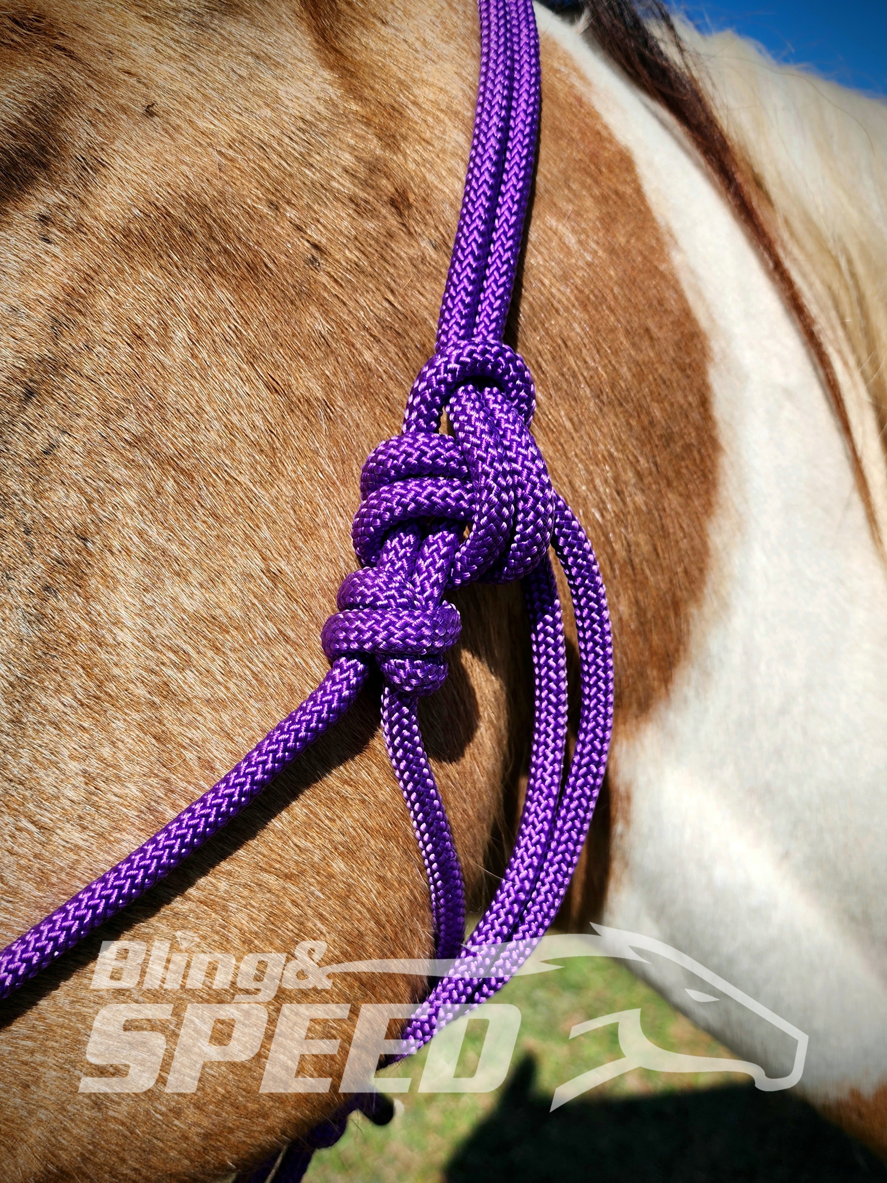 Beaded Rope Halter (8028568256750) (8058345292014)