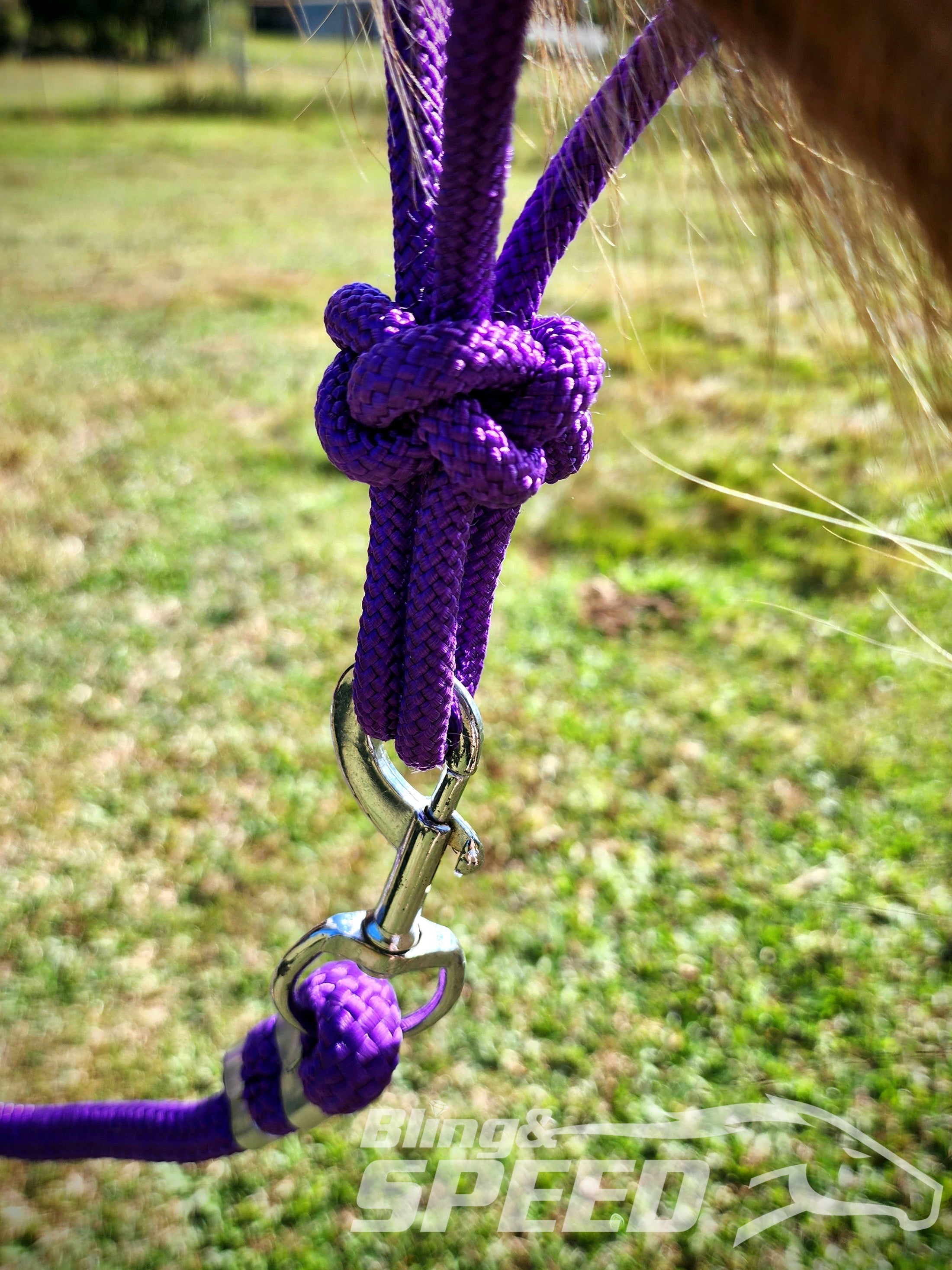 Purple Beaded Rope Halter (8058345292014)