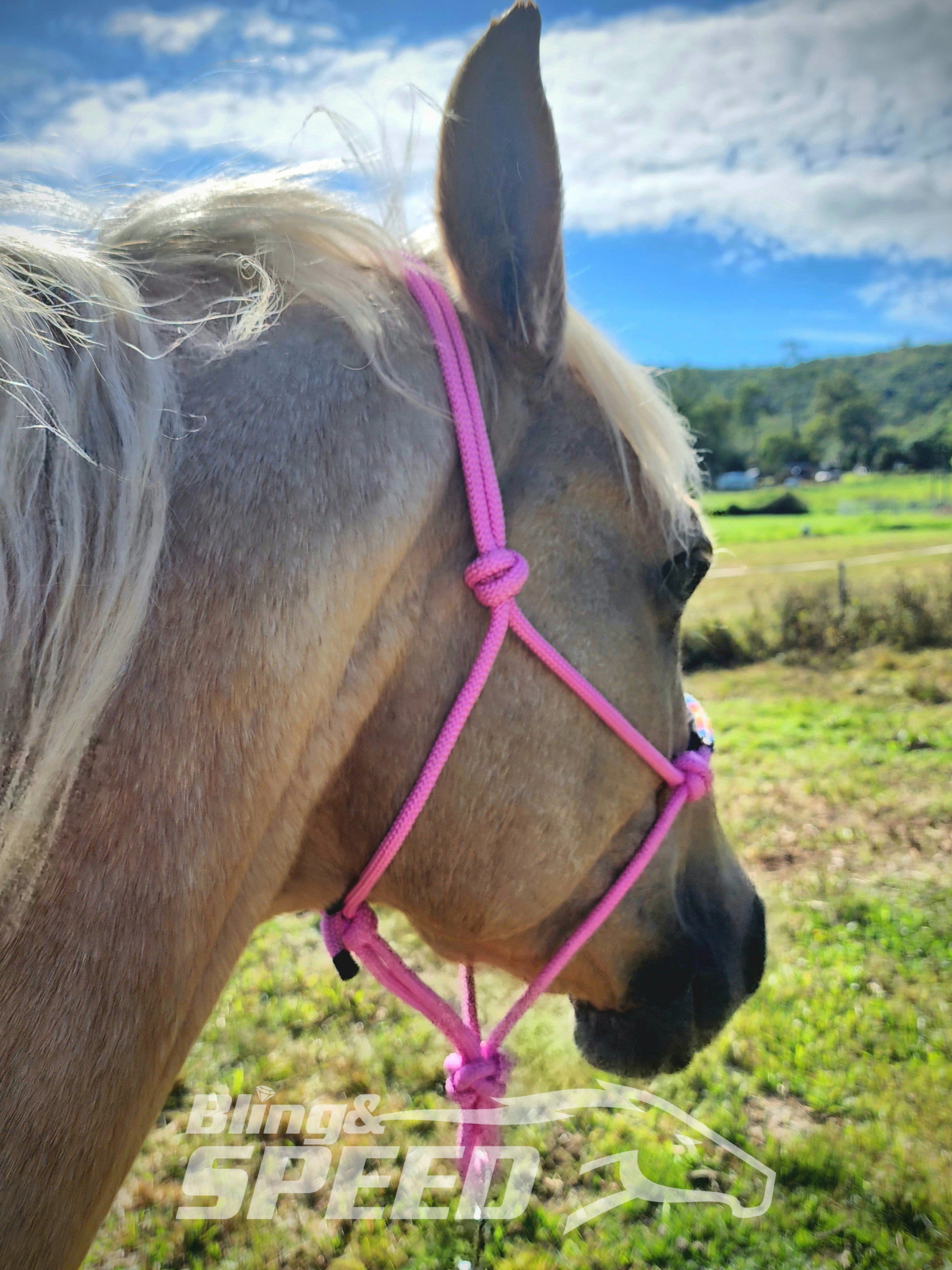 Beaded Rope Halter (8028568256750)