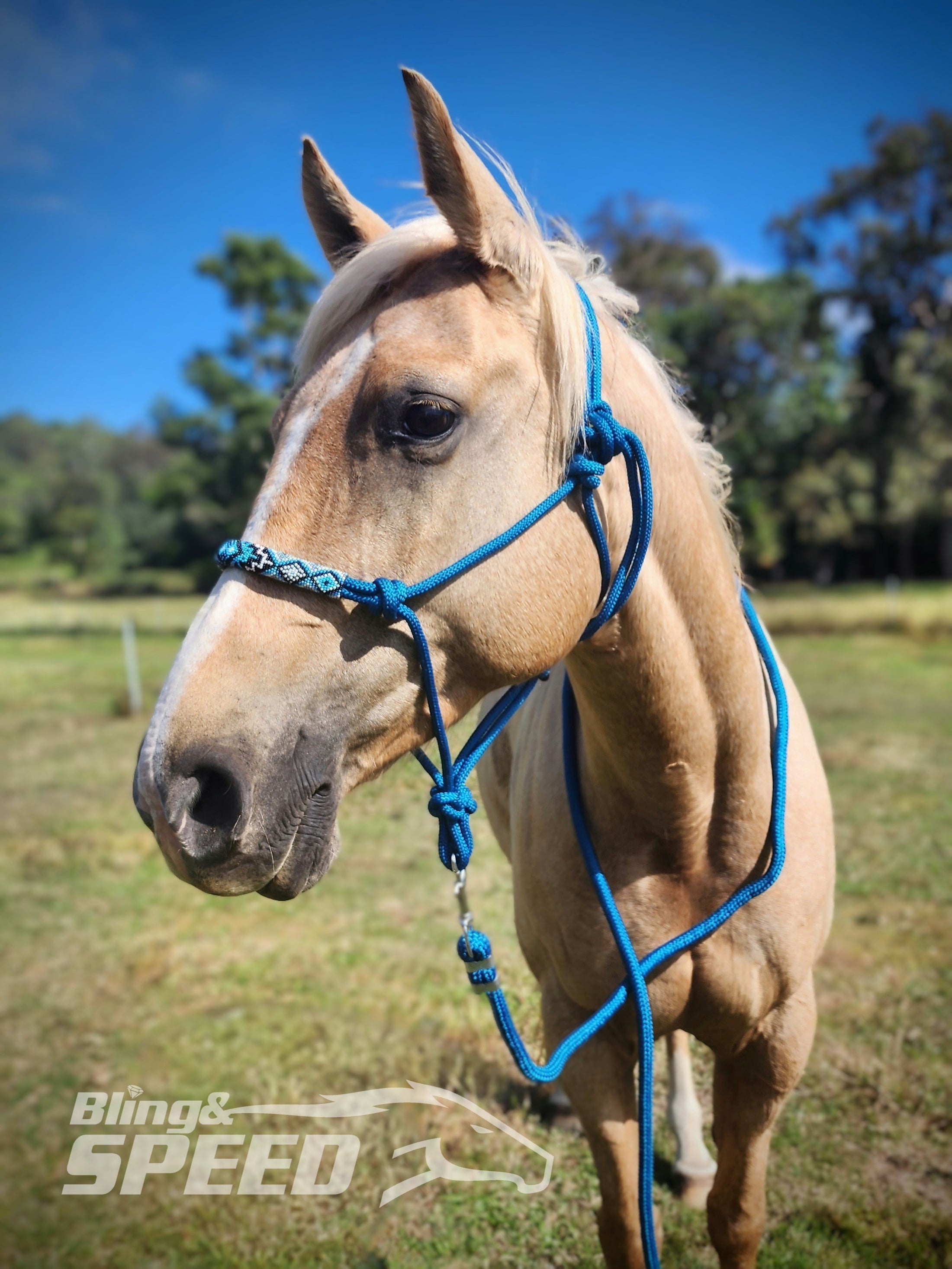 Beaded Rope Halter (8028568256750) (8058359283950)