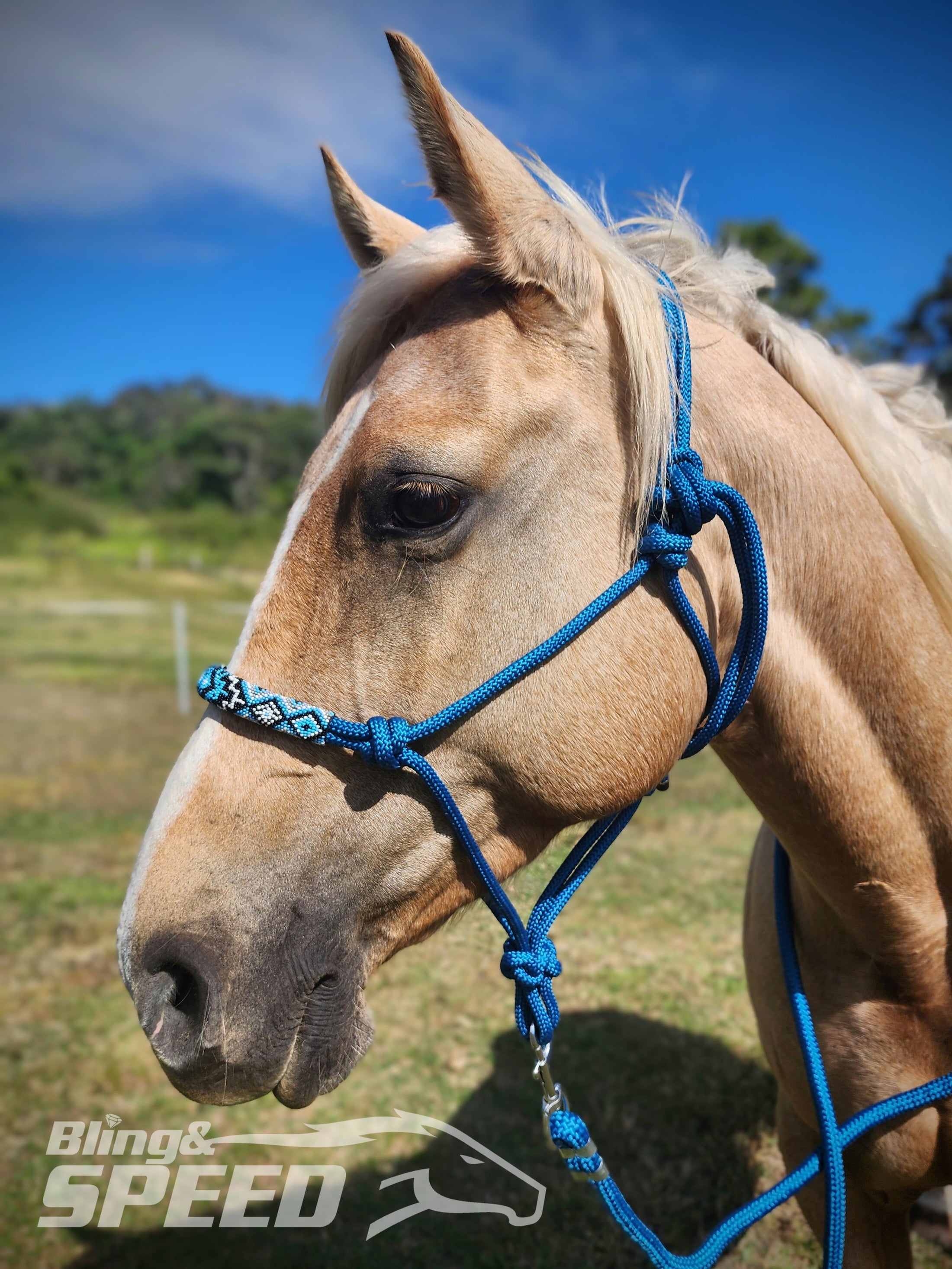 Beaded Rope Halter (8028568256750) (8058359283950)