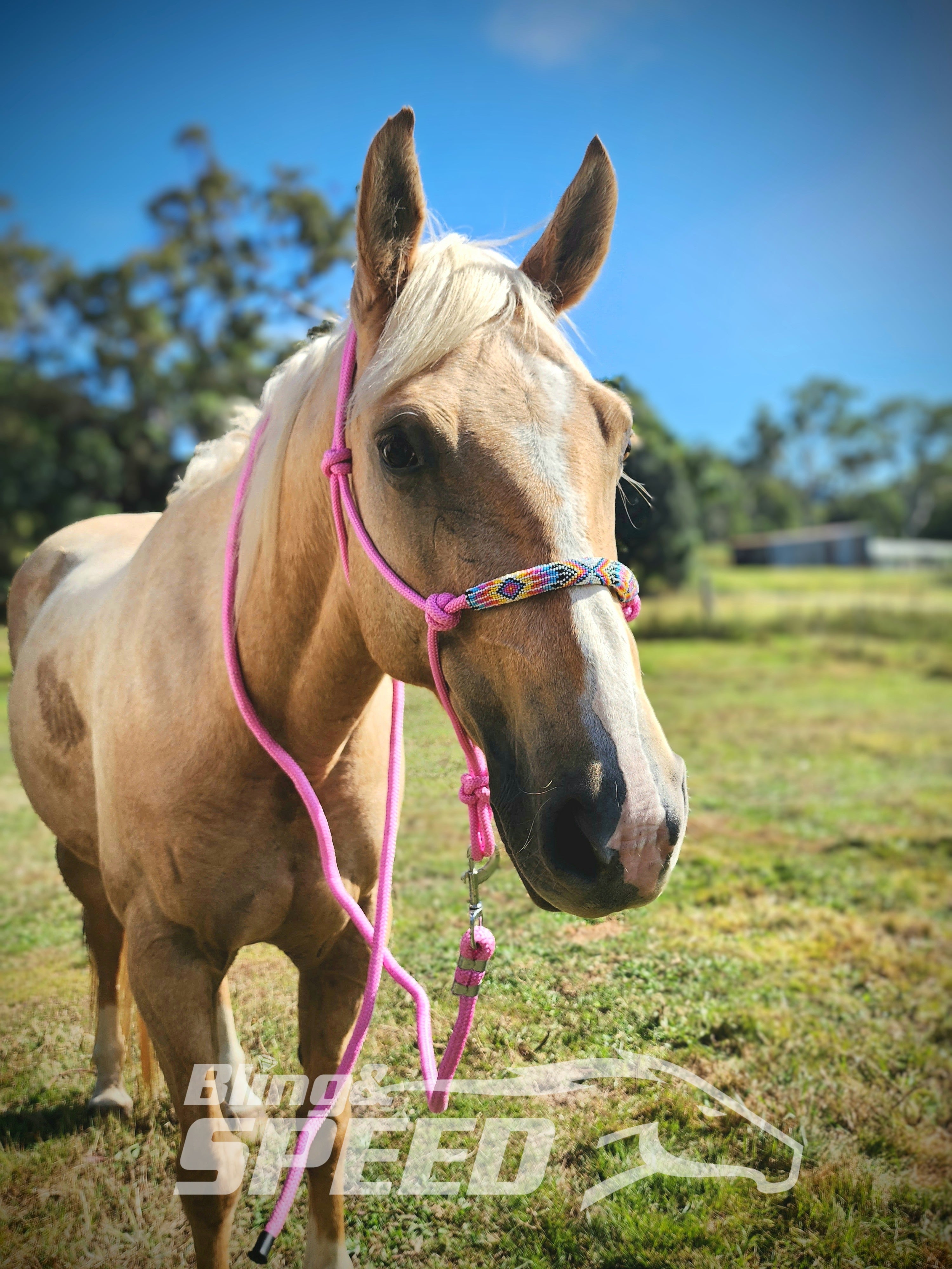 Beaded Rope Halter (8028568256750)