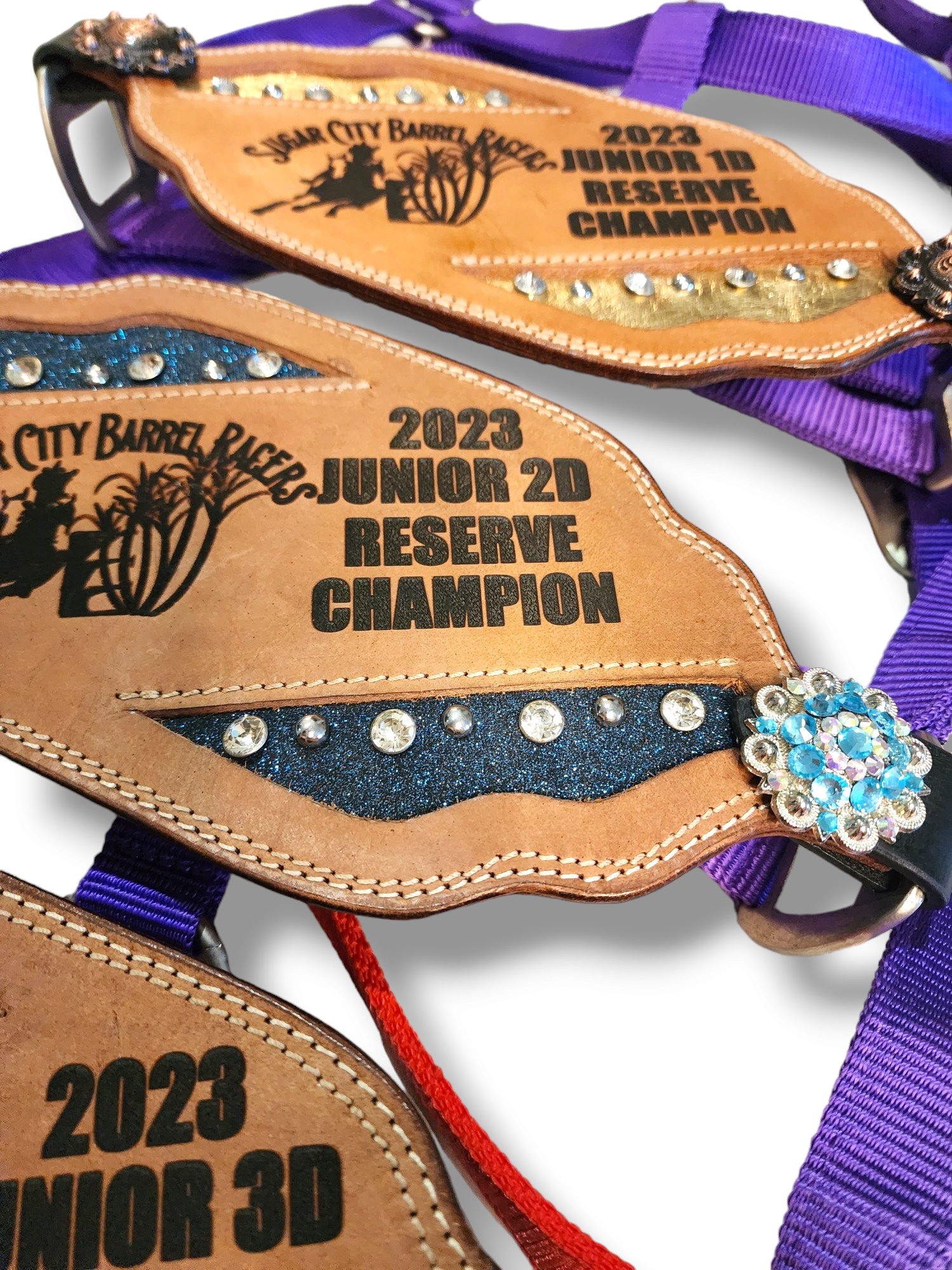 Trophy Bronc Halters
