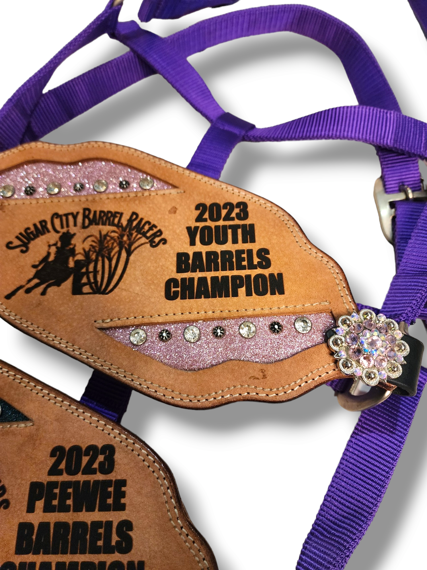 Trophy Bronc Halters