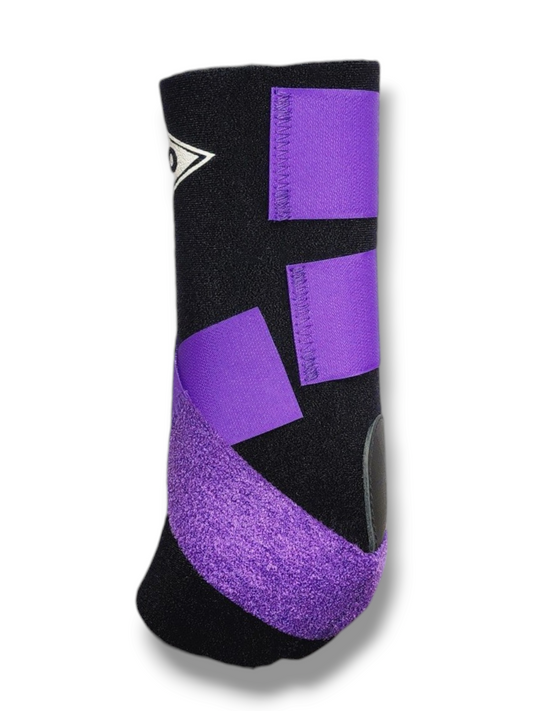 H20 Front - Black with Purple Straps