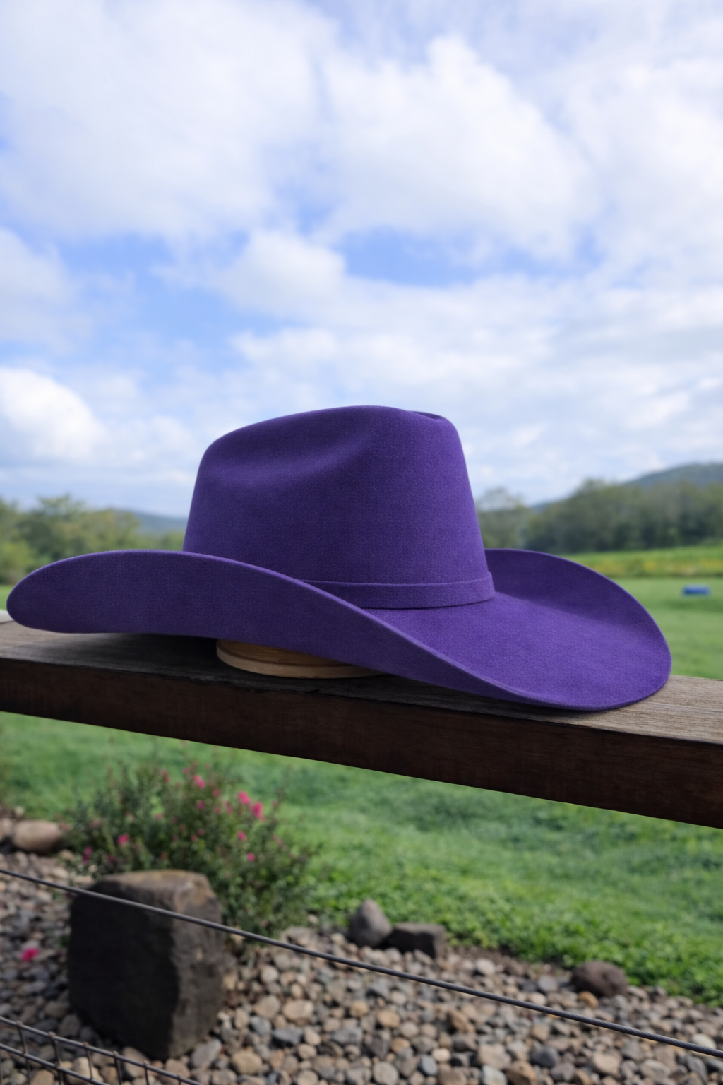 Desert Crown Felt Hat - Purple