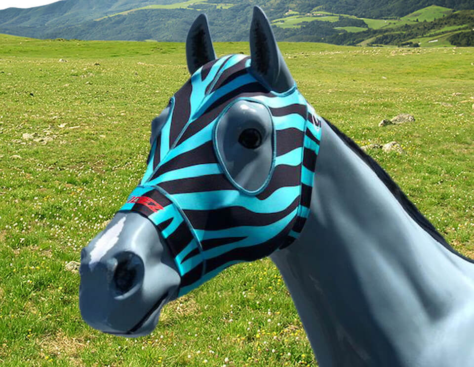 Zebra Turquoise and Black