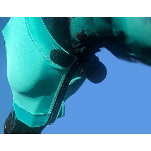 Hidez Hood Original with Ears - Various Colours