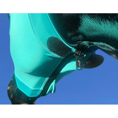 Hidez Hood Original with Ears - Various Colours