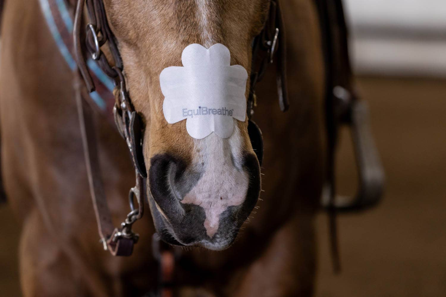 EquiBreathe™ Equine Nasal Patch - White