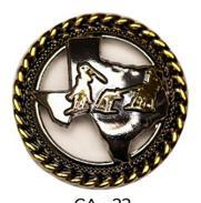 Bling & Speed Saddle Concho Options