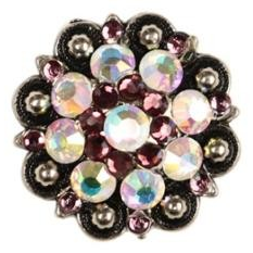 Bling & Speed Saddle Concho Options