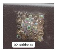 Bling & Speed Saddle Concho Options