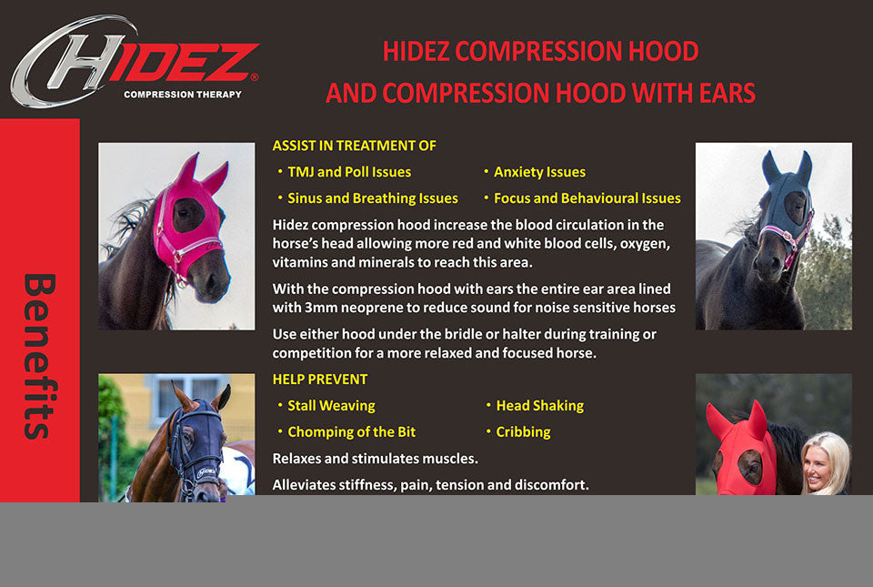 Hidez Hood Original with Ears