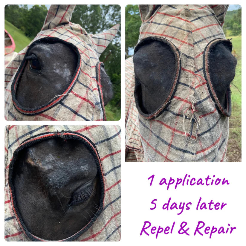 BPE Repel and Repair