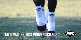 Black Orthopedic Equine Sports Support Boots set of 4 - IN STOCK