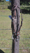 Load and play video in Gallery viewer, One Ear Plait Bridle with Turquoise Conchos
