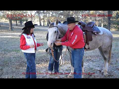 0119-8000 JOSEY-MITCHELL SHORT STOP – Bling and Speed