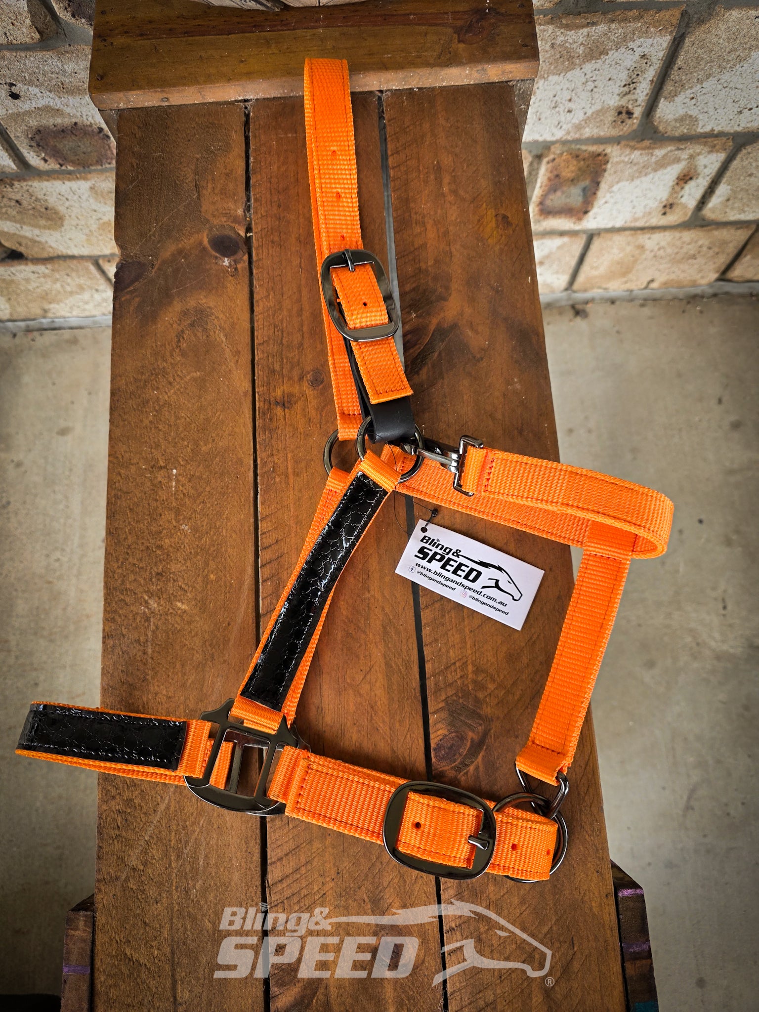 Nylon Breakaway Horse Halter – Various Colours