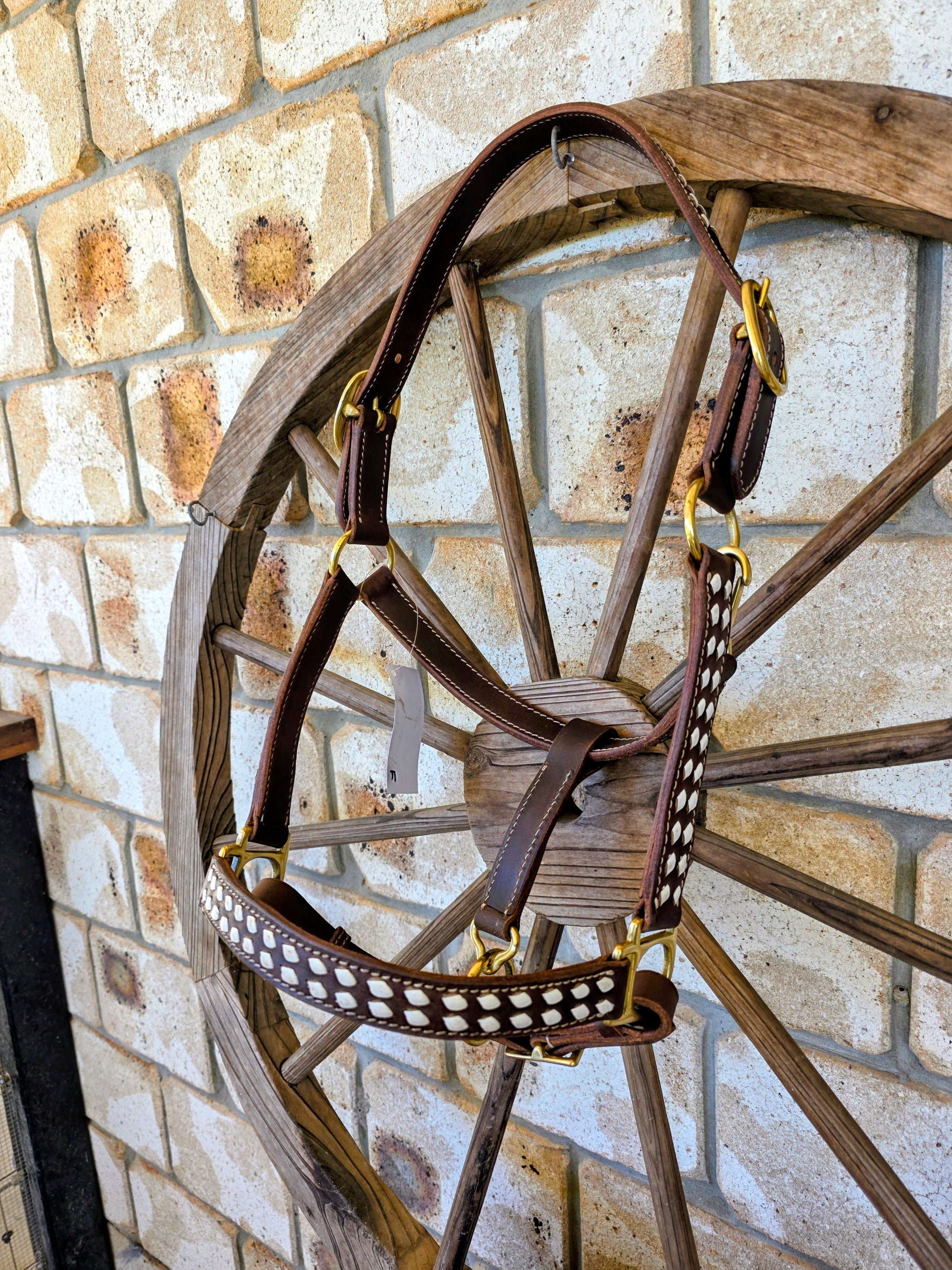 White Buckstitch Leather Halter