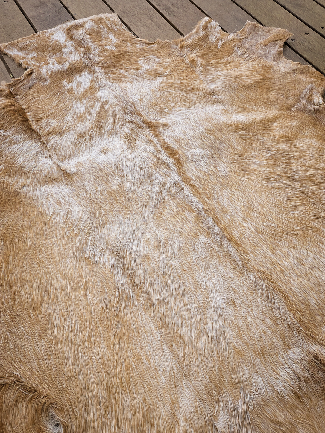 Genuine Natural Goat Hide - #21