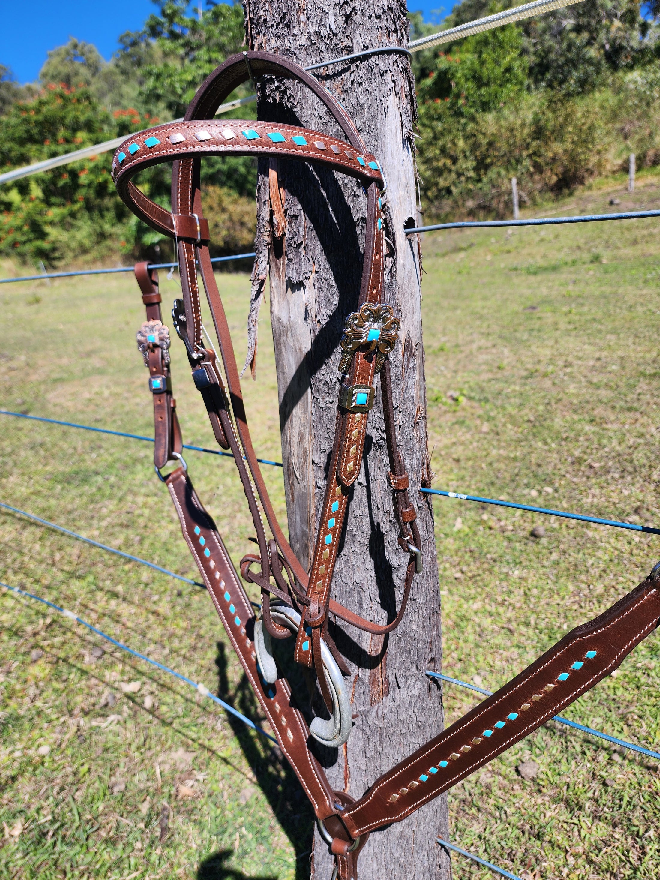 Harness Leather Bridle and Matching Breastcollar - Gold and Turquoise Buckstitching