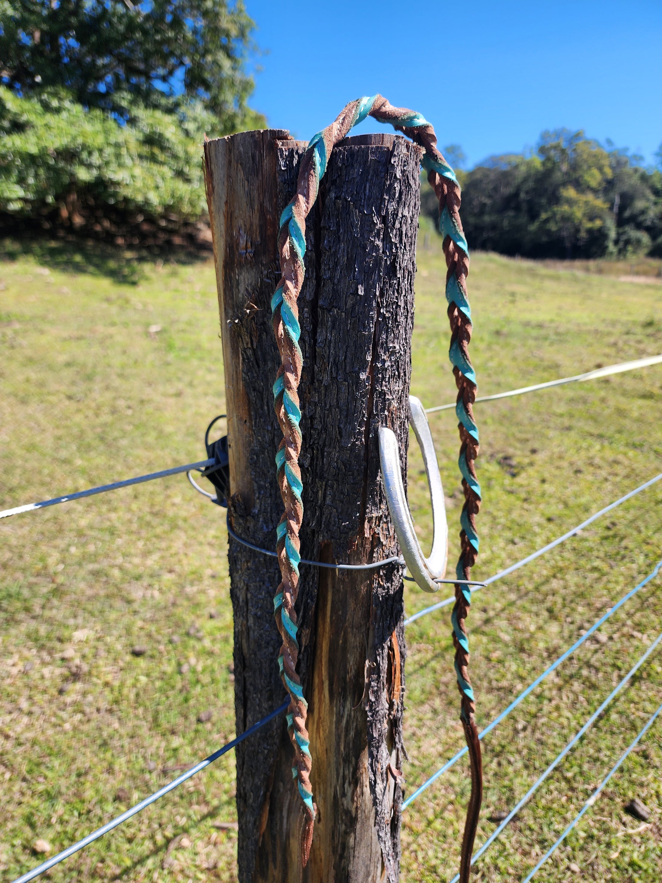 Twisted Bloodknot Barrel Reins - Turquoise