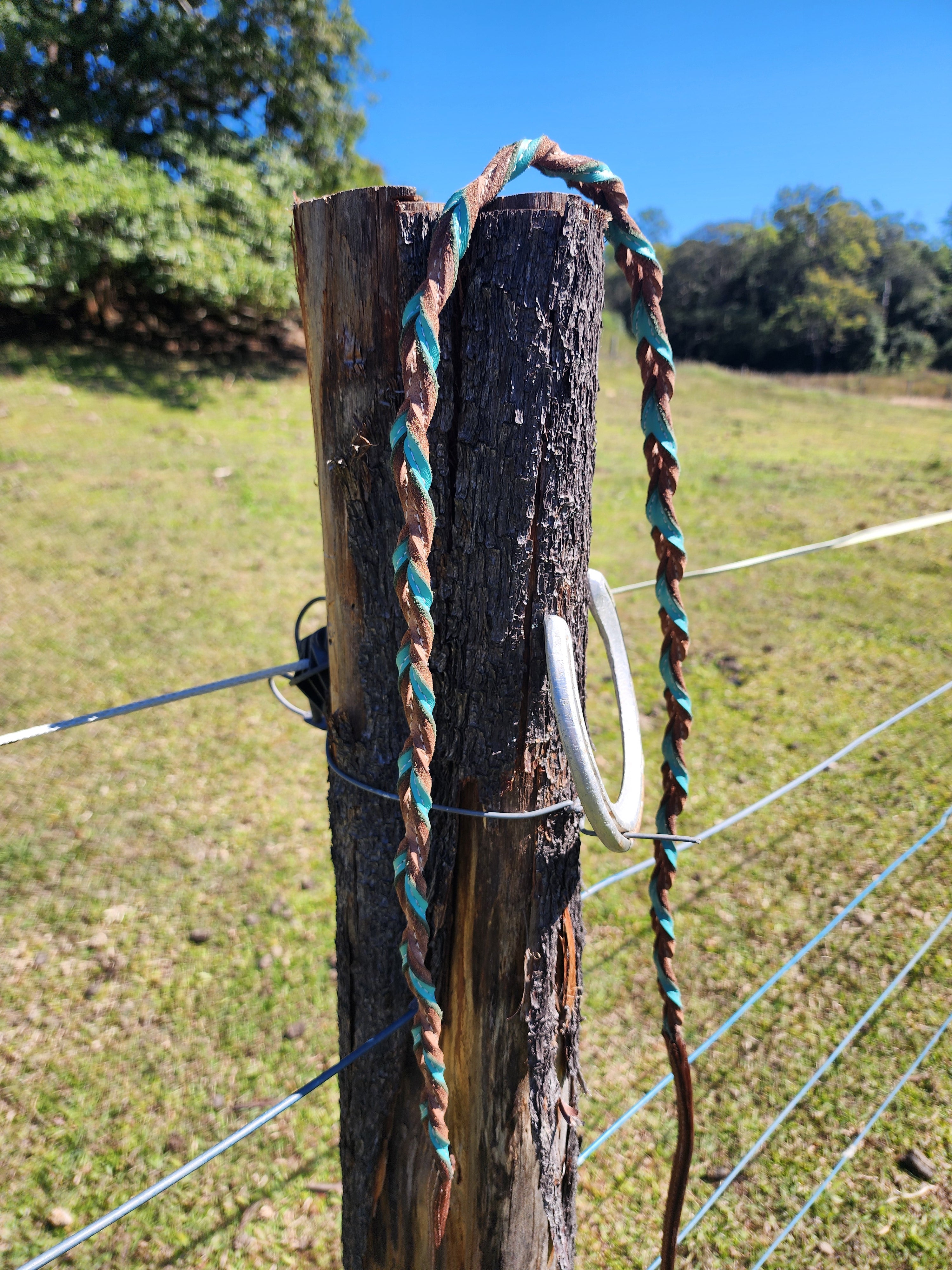Twisted Bloodknot Barrel Reins - Turquoise