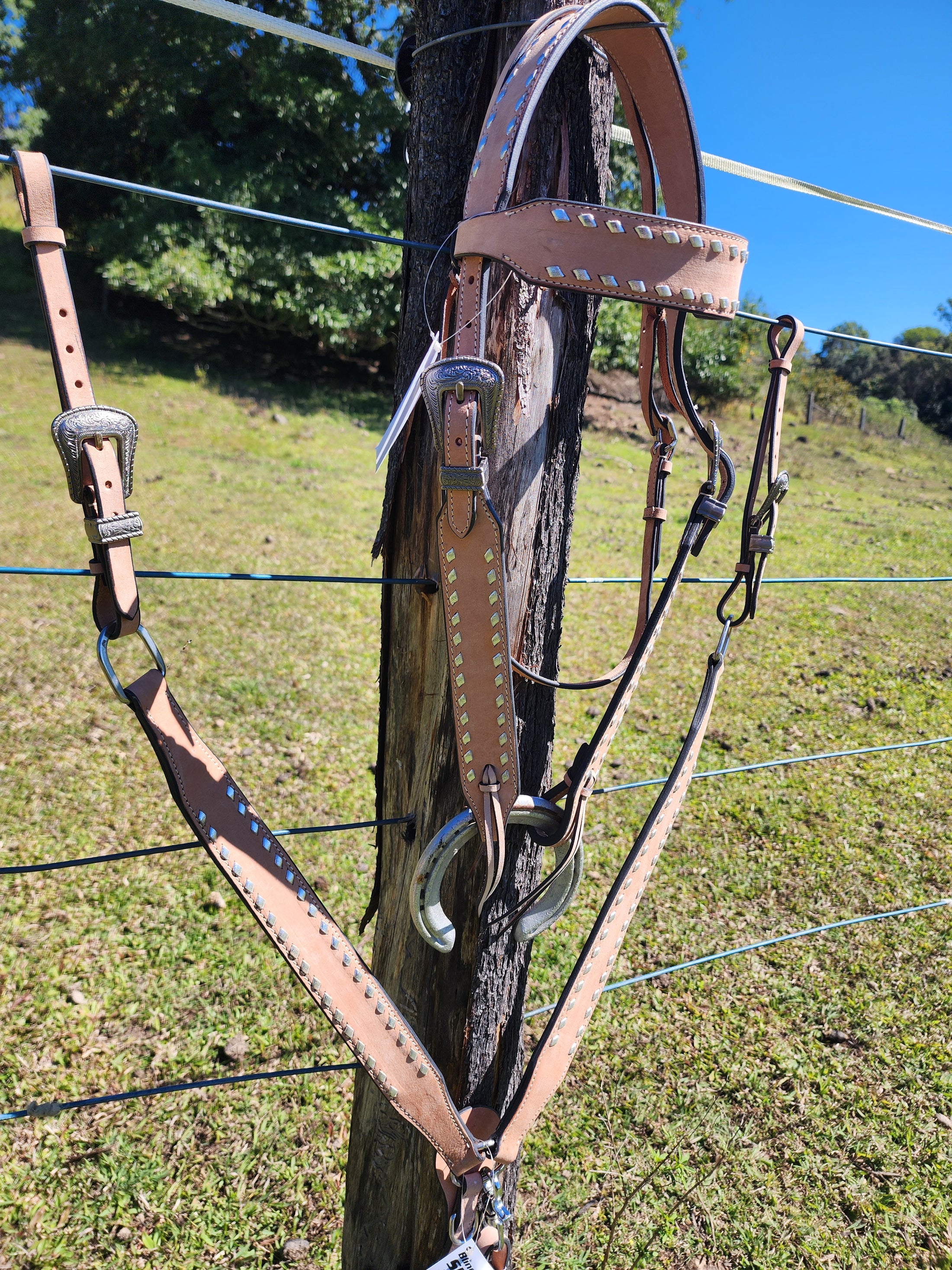 Trophy Tack Sets - Buckstitching