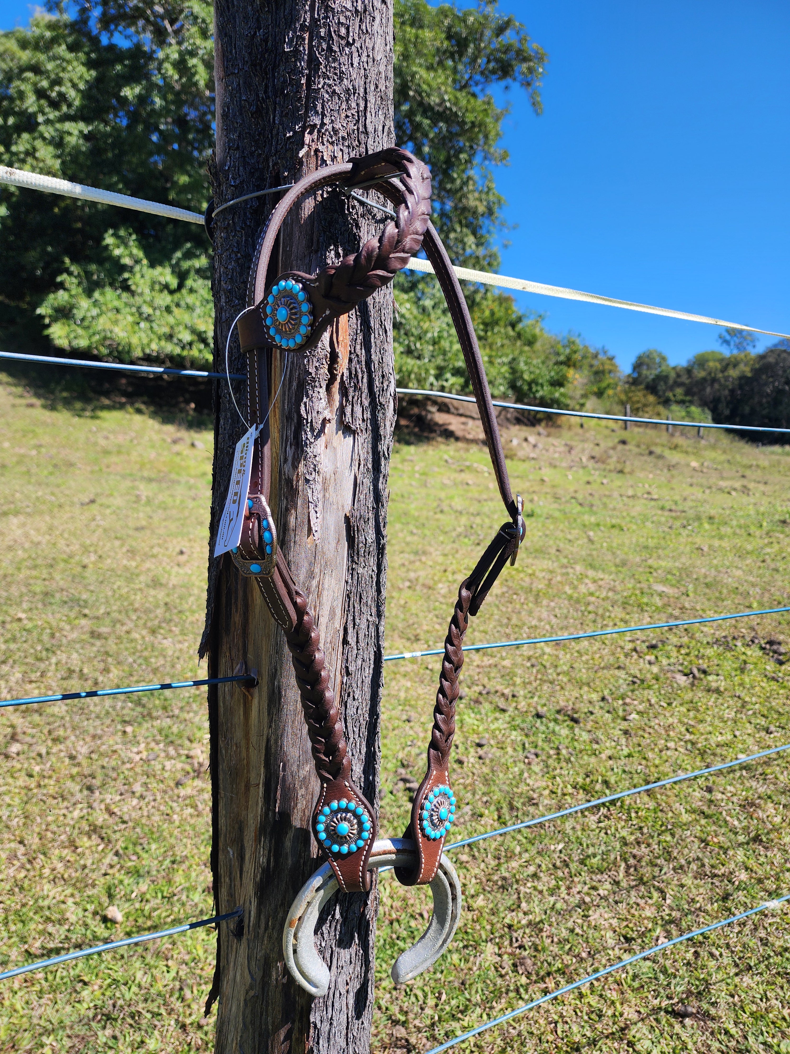 One Ear Plait Bridle with Turquoise Berry Concho