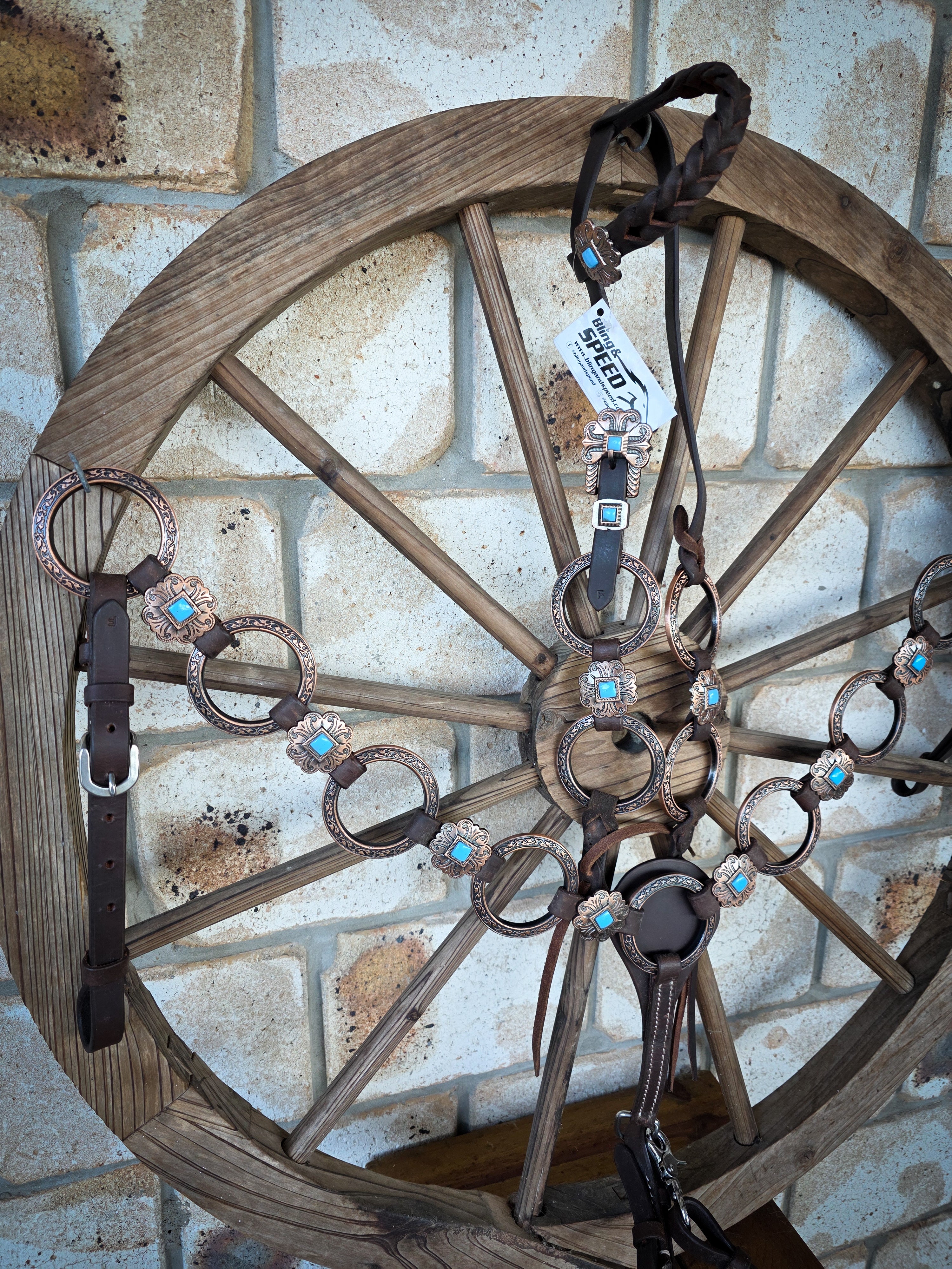 Southwest Jewel Ring Tack Set