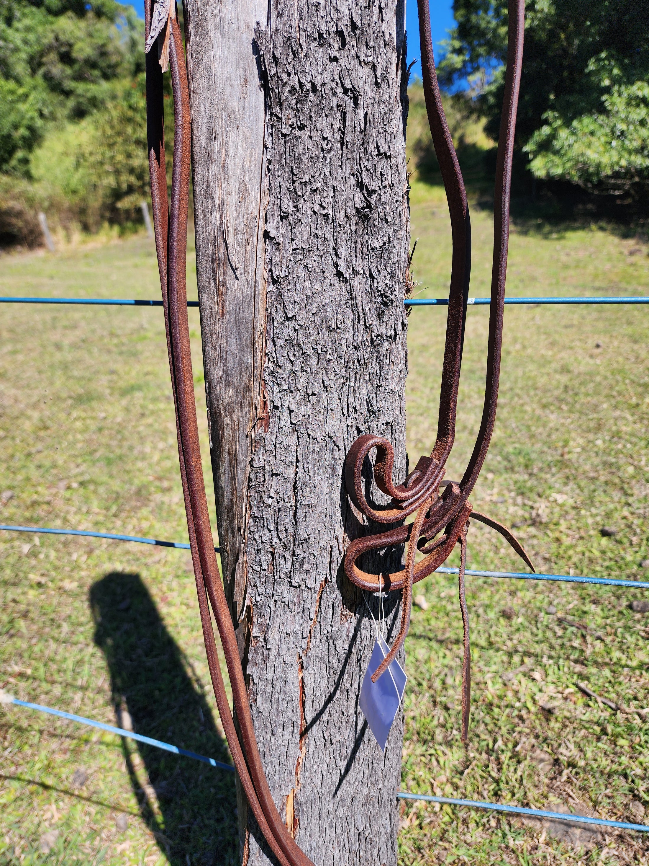 Bling & Speed Leather Split Reins