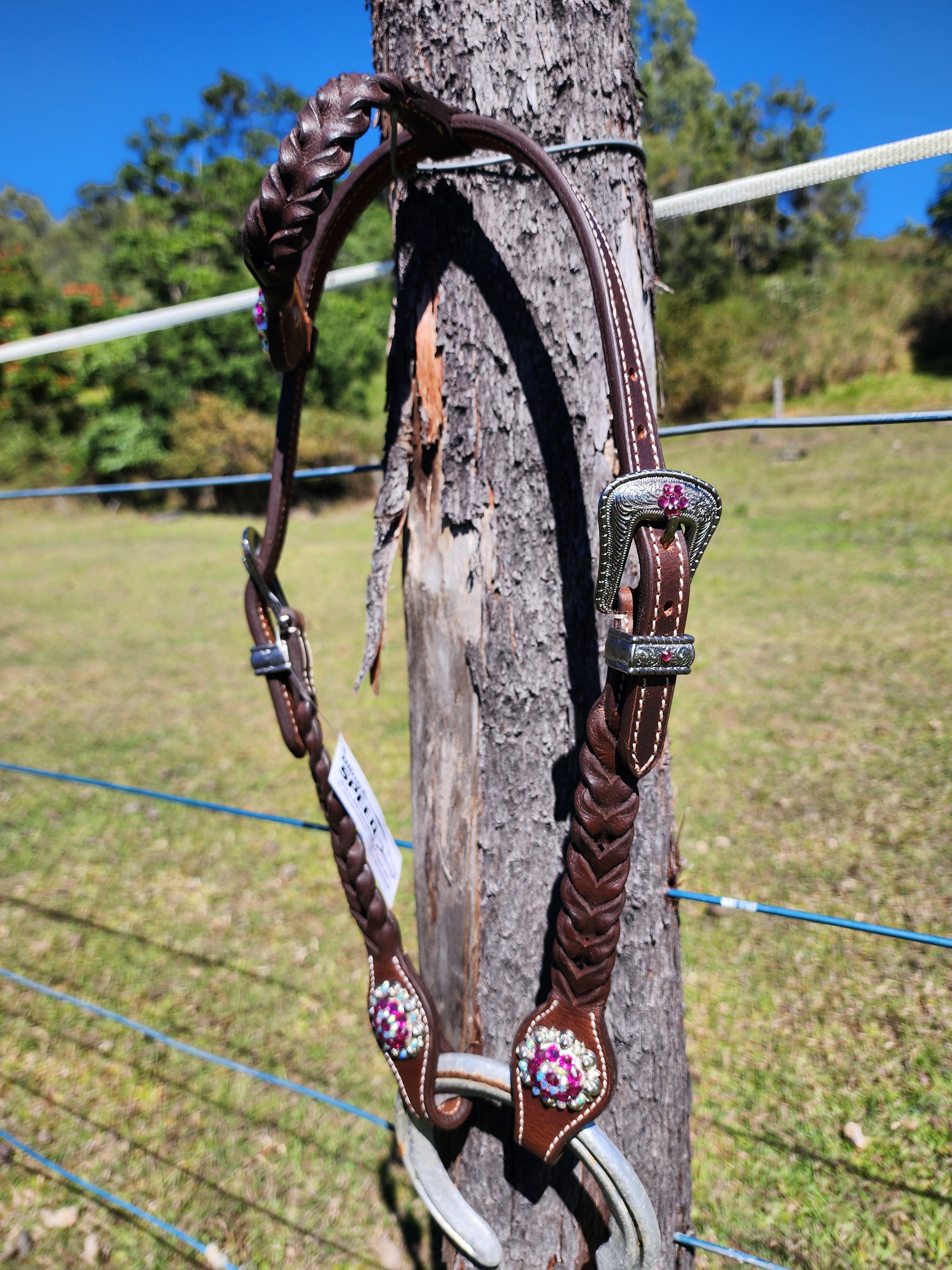 One Ear Plait Bridle with Pink Conchos