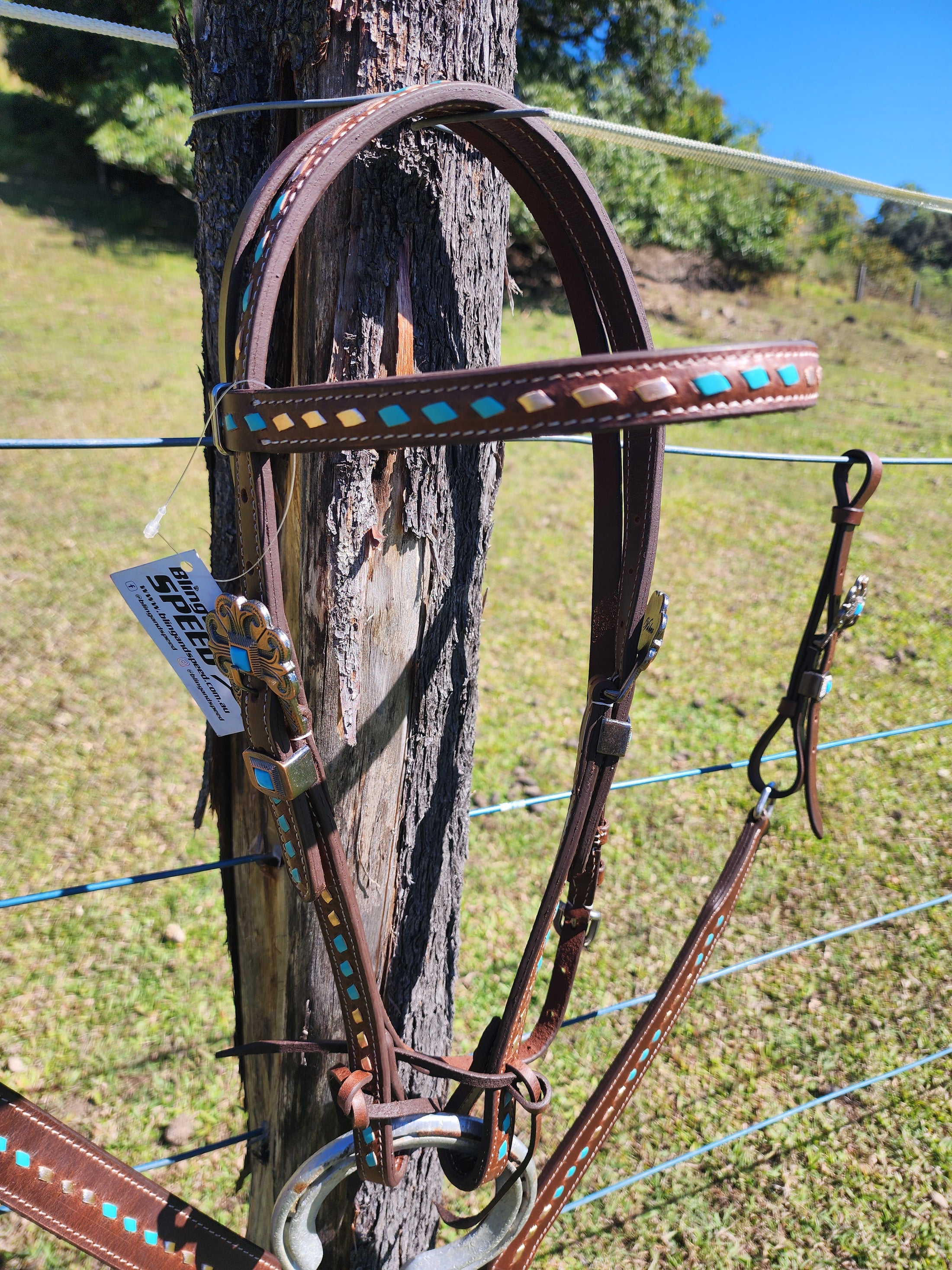 Harness Leather Bridle and Matching Breastcollar - Gold and Turquoise Buckstitching