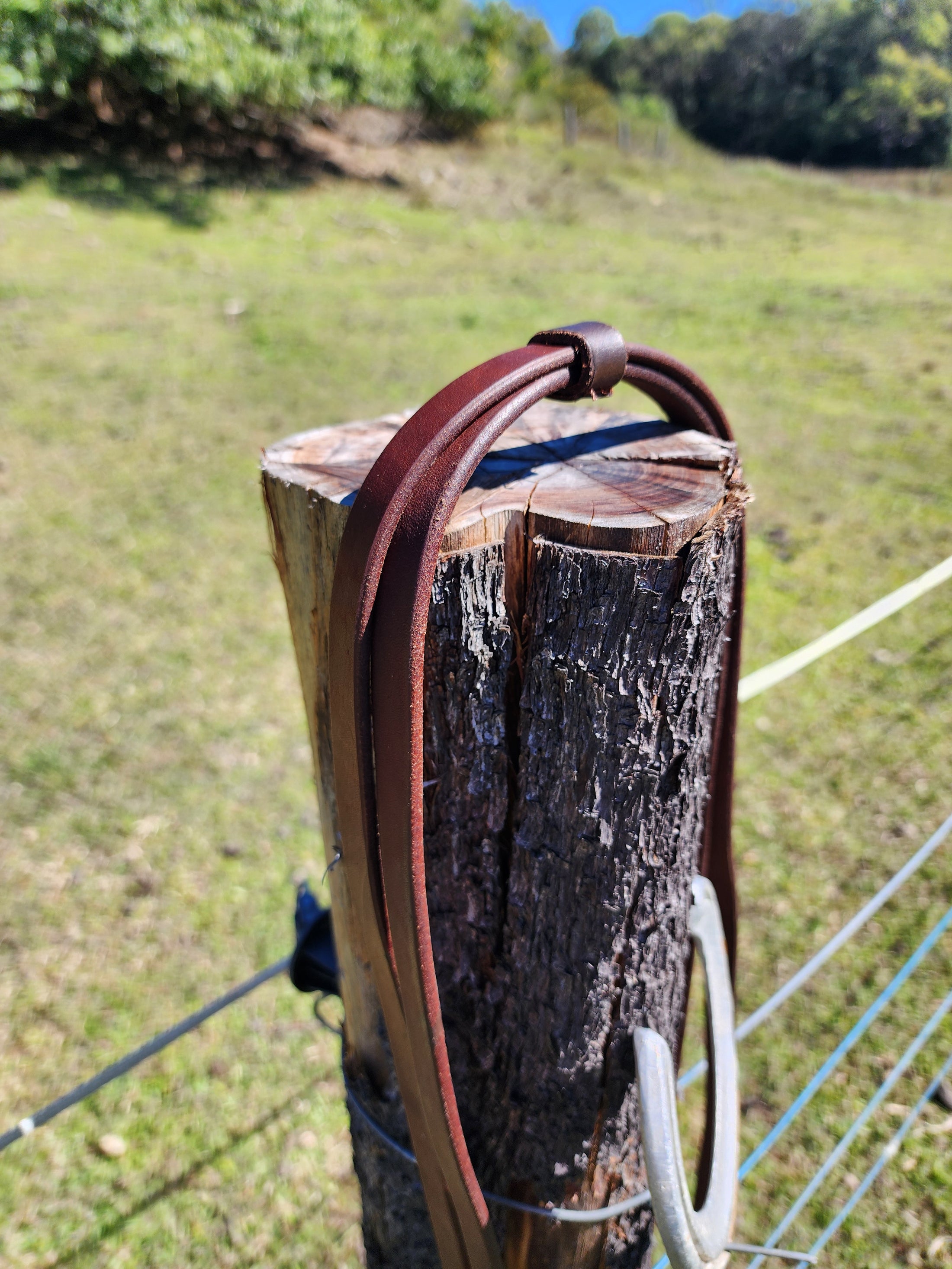 Bling & Speed Leather Split Reins