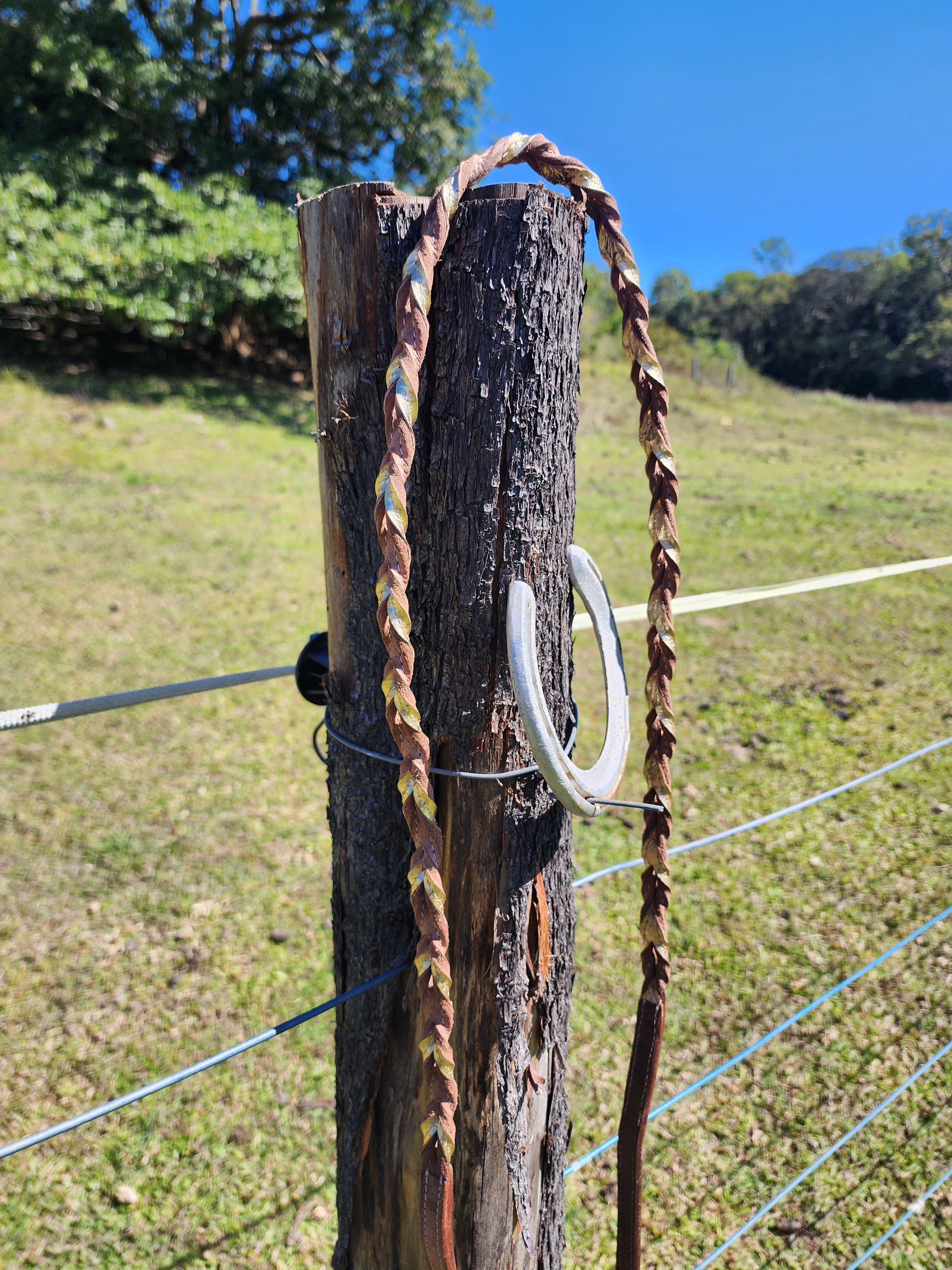 Twisted Bloodknot Barrel Reins - Gold