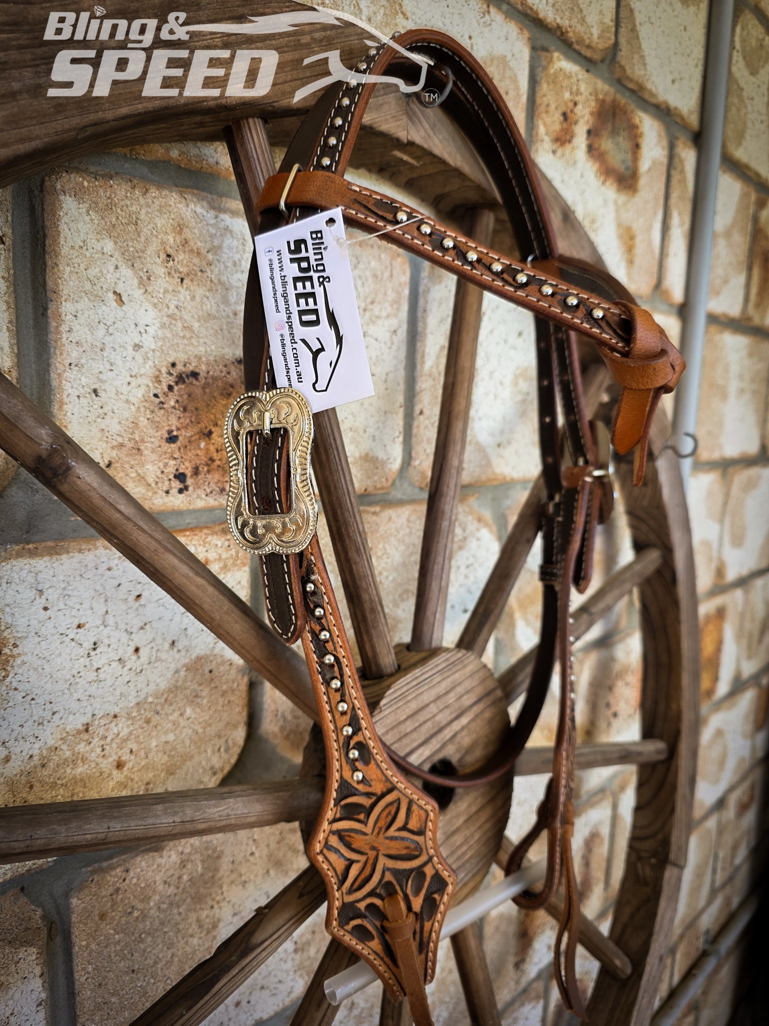 Futurity Knot Bridle with Silver Studs