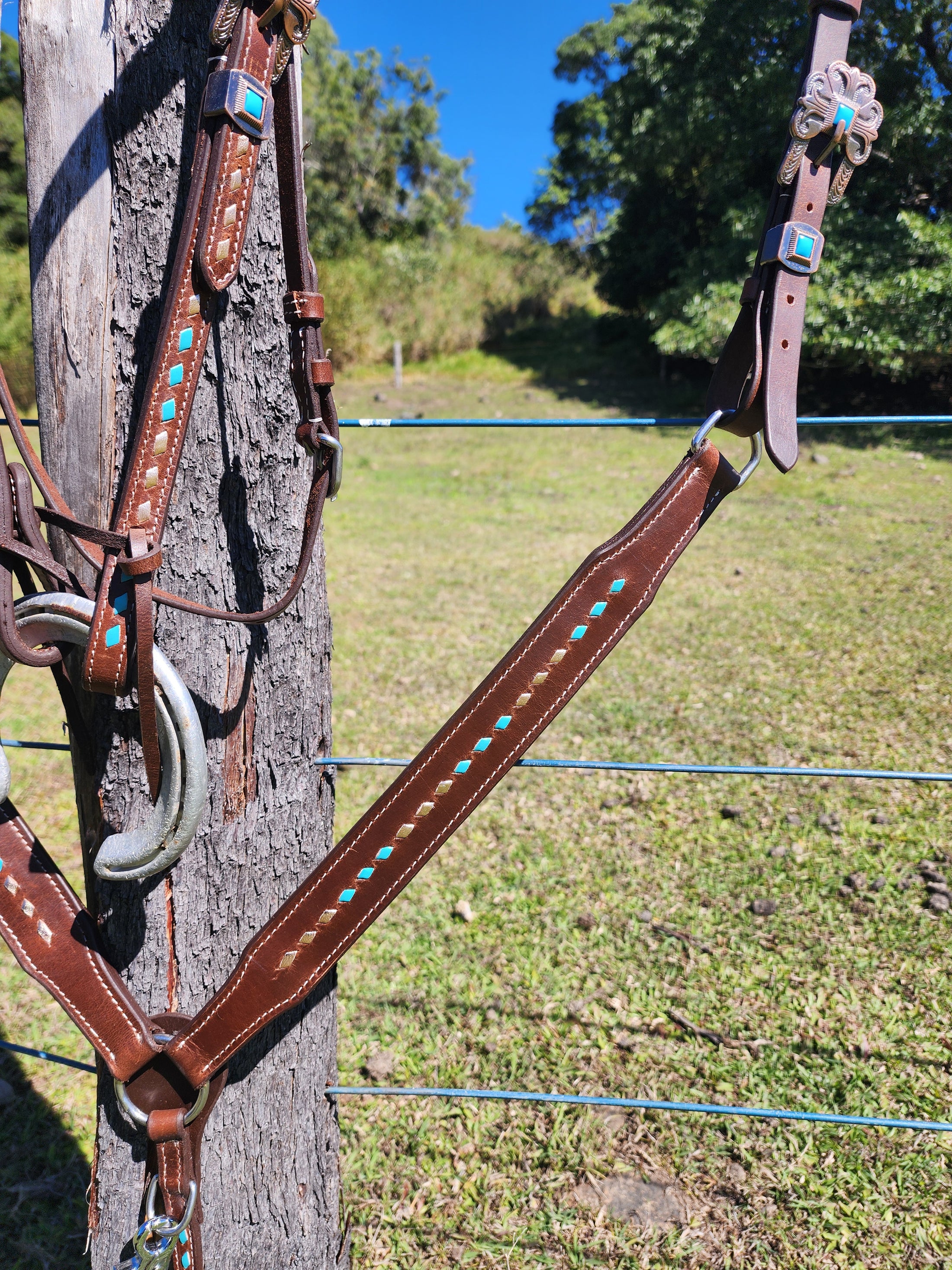 Harness Leather Bridle and Matching Breastcollar - Gold and Turquoise Buckstitching